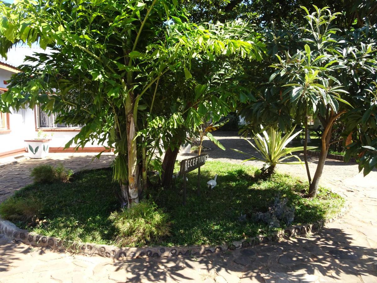 White Rose Lodge Livingstone Ngoại thất bức ảnh