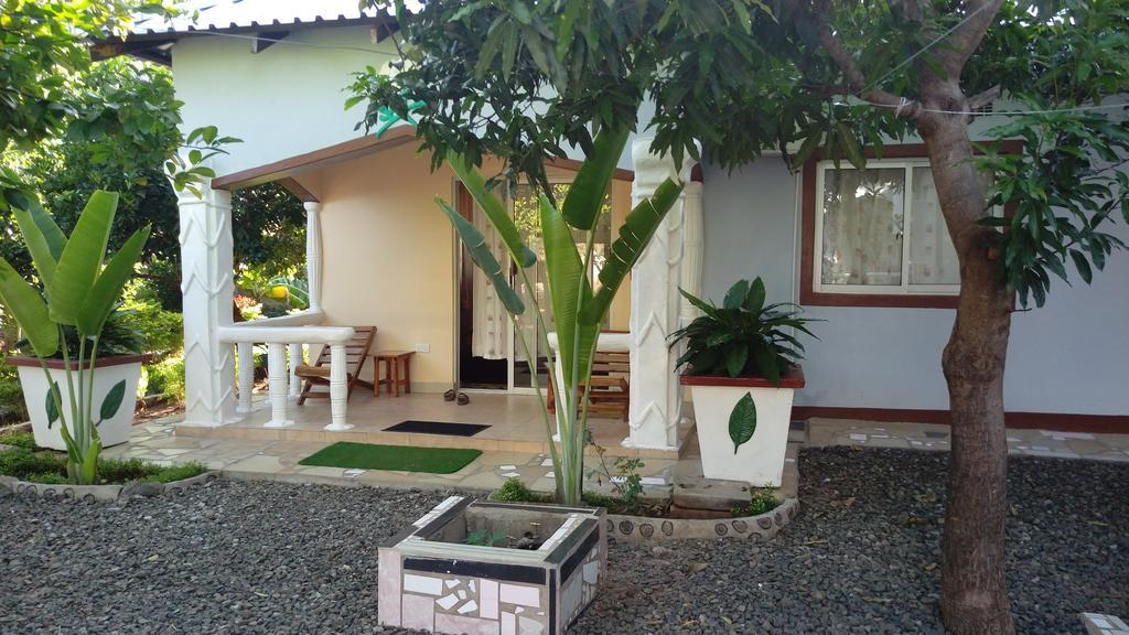 White Rose Lodge Livingstone Ngoại thất bức ảnh